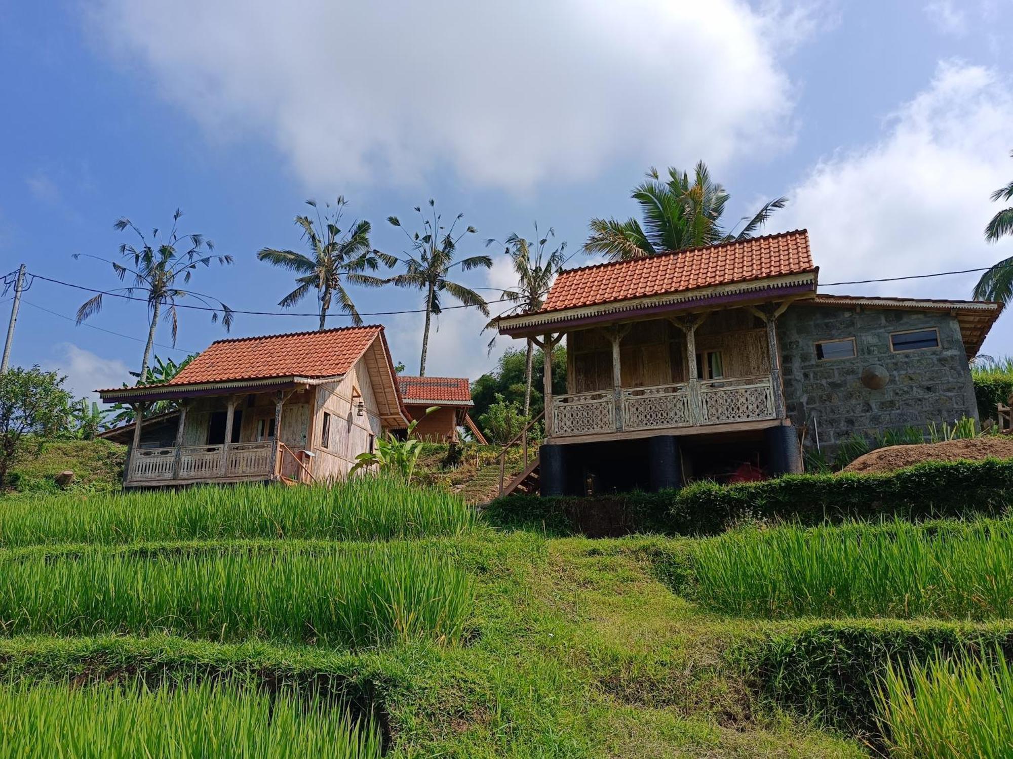 D'Ume Bendoel Homestay Jatiluwih Exterior photo