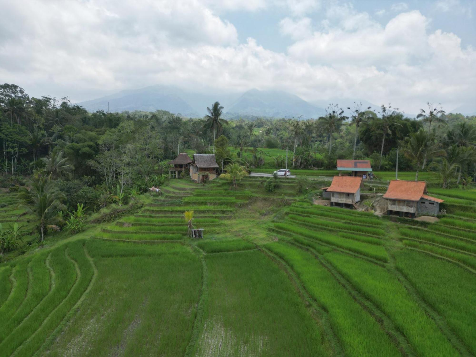 D'Ume Bendoel Homestay Jatiluwih Room photo